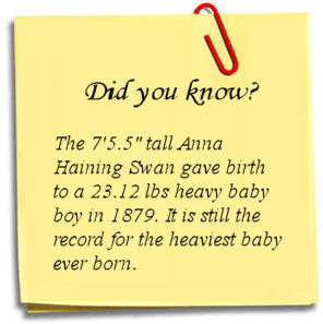 The Tallest Man Fact 3